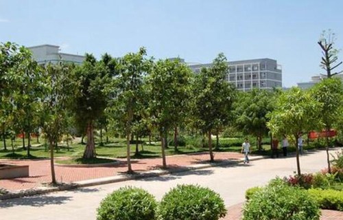 铜川市公共交通总公司职业技术学校图片