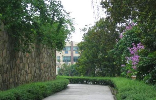 铜川市职工文化技术学校图片