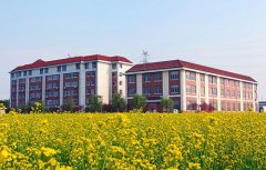 周至县艺术职业学校2021年录取分数线