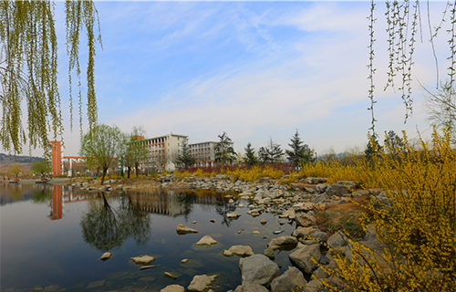 山东城市建设职业学院图片