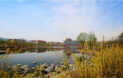山东城市建设职业学院图片