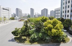 周至县第二高级职业中学2021年录取分数线