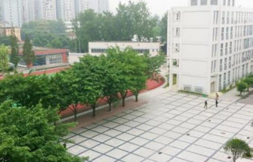 周至县第一职业中学图片