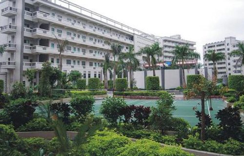 宿松县高岭乡初级职业中学图片