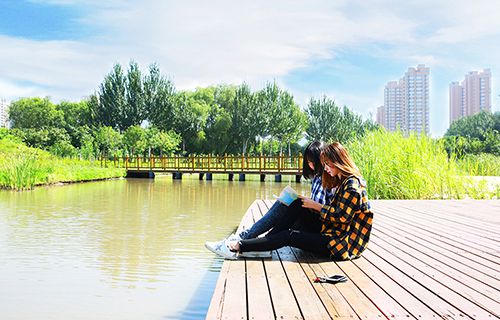 大同第二卫生学校图片