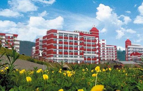 蓝田县大寨乡职业技术学校图片