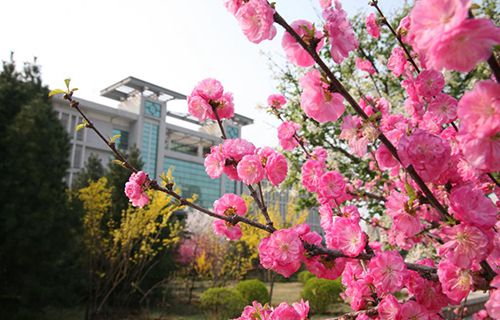 安徽高铁乘务学校图片