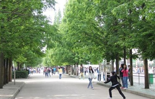 武进西林职业高级中学图片