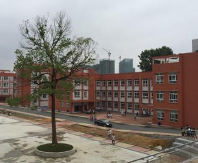 绥阳中等职业学校图片