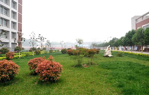 百色市民望职业技术学校