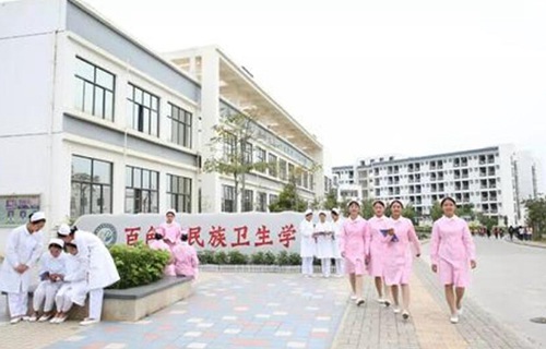 百色市民族卫生学校图片
