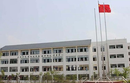 百色市民族卫生学校图片