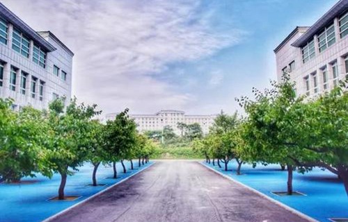 民盟百色市工业职业技术学校图片