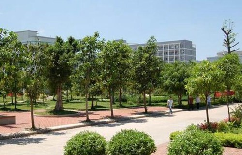 田阳县职业技术学校图片
