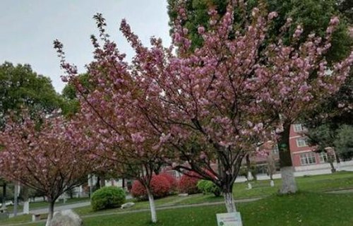 常州铁路机械学校