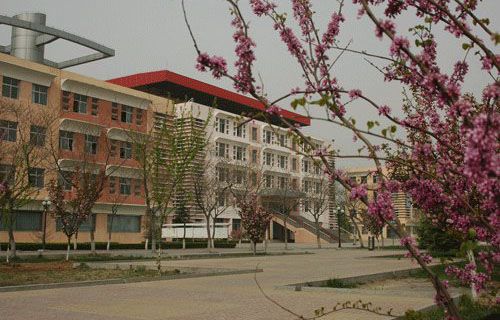 山东大王职业学院图片