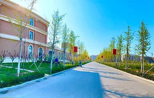 烟台黄金职业学院
