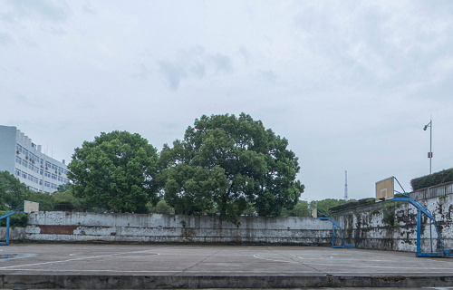 江西司法警官职业学院五年制大专图片