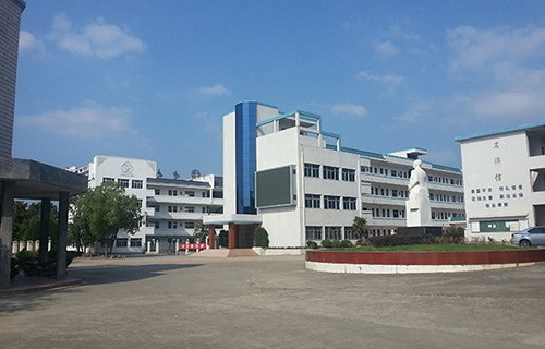 安徽行知学校图片