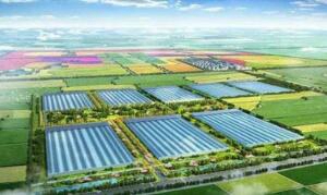 山东德州农业学校图片