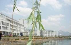 山东泰安卫生学校图片