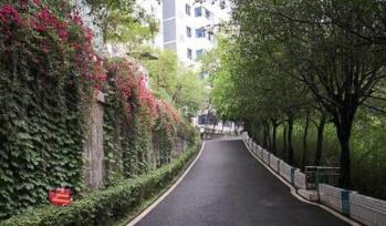 重庆市涪陵创新计算机学校图片