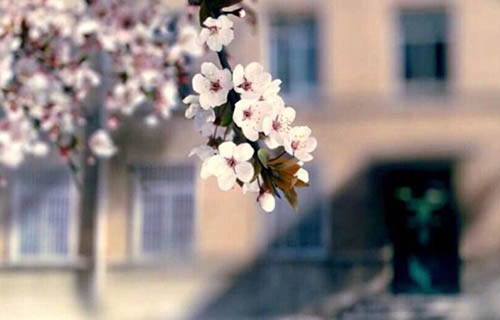 山东烟台农业学校