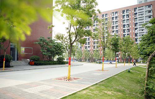 安徽万通高级技工学校图片