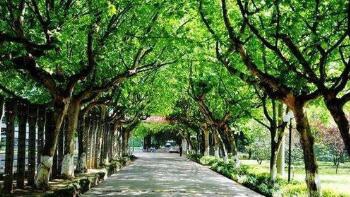 仪征市技工学校图片