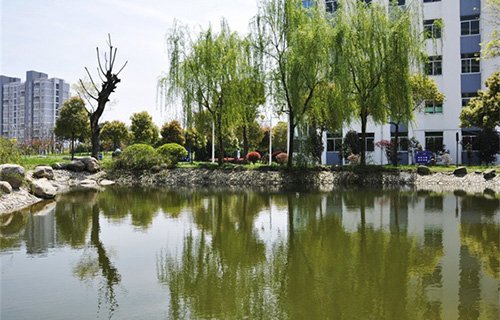 扬州煤炭烹饪技工学校图片