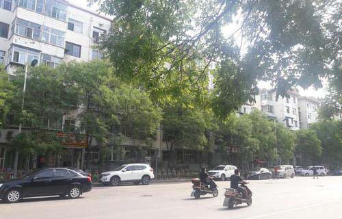 太原尖草坪区第一职业中学图片