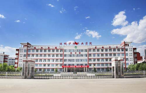 运城护理职业学院五年制大专图片