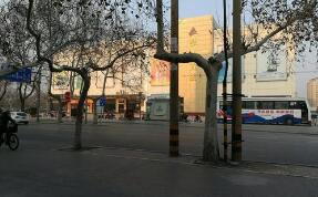 山东丝绸工业学校图片