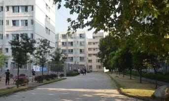乐清市集美学校图片