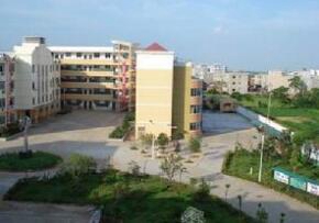 乐清市集美学校图片