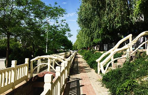 山东卫生学校图片