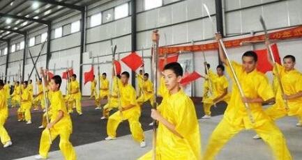 平阳县武术学校图片