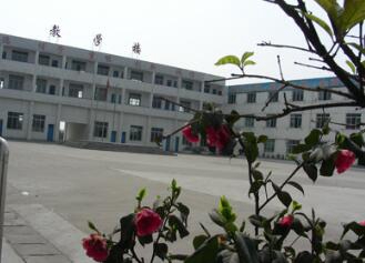 大丰港国际职业学校图片