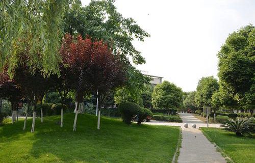 阳泉师范高等专科学校五年制大专图片