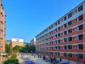 苍南飞林文武学校