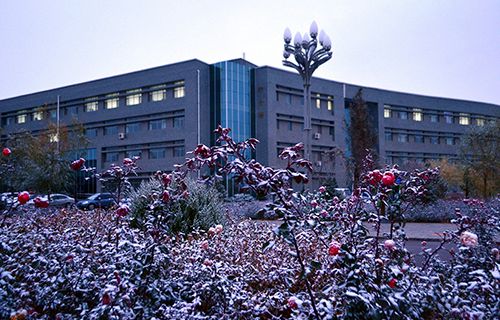 山东文登第五职业高中图片