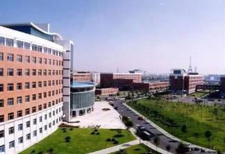金湖县新东方职业学校图片