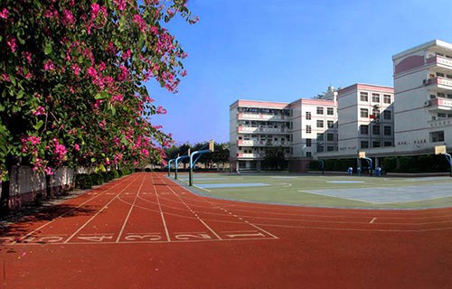 青岛女子职业中等专业学校图片