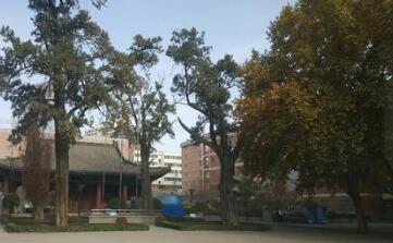 铜川市印台区职业技术学校图片