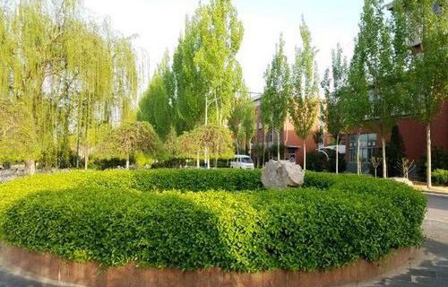 青岛城阳职业中等专业学校图片
