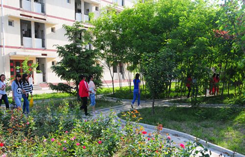 山东巨野县技工学校图片