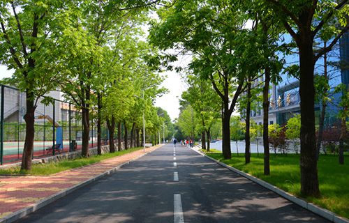 临沂劳动局第二技工学校图片