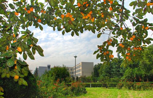 烟台电子技工学校
