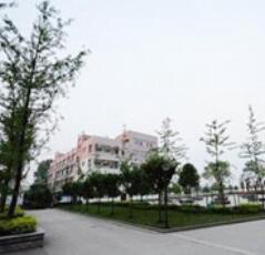 东海县张湾乡职业中学图片