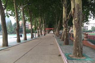 新沂市第二职业中学图片